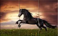 Puzzle - Beautiful Horses Screen Shot 0