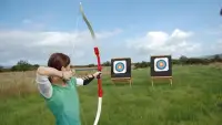 Archery Champion Game Screen Shot 2