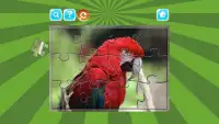 Birds Jigsaw Puzzles Game Screen Shot 5