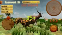 Angry Leopard - Chase Animals Screen Shot 1