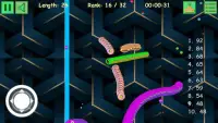 Worm Zone - worm snake crawl 2020 Screen Shot 3