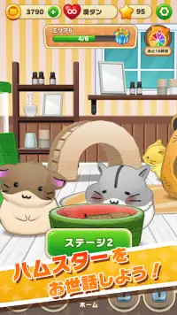 Hamster Life match and home(β) Screen Shot 2