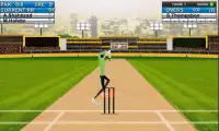 Cricket Hero Challenge 3D 2016 Screen Shot 0