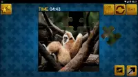 ZOO 5 GOLDEN JIGSAW PUZZLE (FREE) Screen Shot 3