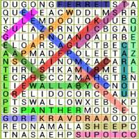 Word Search Pro