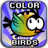Color Birds