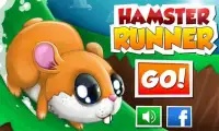 Hamster  Runner Screen Shot 0