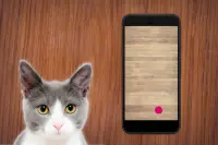 Laser Pointer for Cat - CAT TOY Games for Cats Screen Shot 1