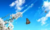 Amazing Butterfly Puzzles Screen Shot 2