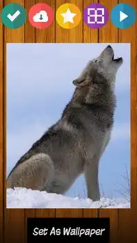 Lobo lobos jogo de puzzle Screen Shot 3