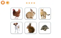 Maxiloto Animaux Screen Shot 5