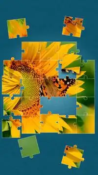 Papillon Jeux De Puzzle Screen Shot 1