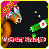 Worm Zone: Worm Mate Cacing.io