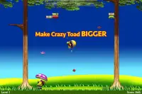 Crazy Toad Screen Shot 3