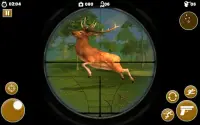 Bear Hunting Game Screen Shot 2