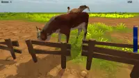 Horse Simulator 3D Screen Shot 0