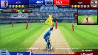 Smash Cricket Screen Shot 1