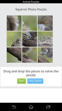 Animal Puzzles Screen Shot 0