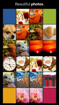 CAR & ANIMAL MEMORY FREE: COLORFUL GAME FOR ADULTS Screen Shot 1