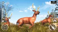 Hunting Games : Gun Games 3D Screen Shot 0