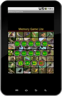 True Birds Memory Game Free Screen Shot 7