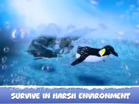 Penguin Family: Polar Bird Survival Simulator Screen Shot 10