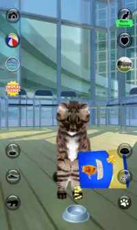 Talking Reality Cat Screen Shot 2