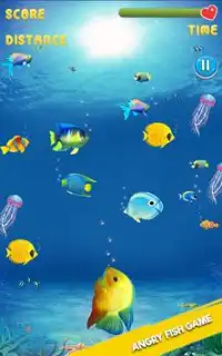 Angry Fish Attack Frenzy Fishing Kids Games Screen Shot 1