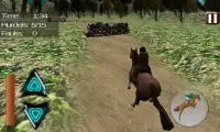 Лошадь Прыжки Мастер Screen Shot 3