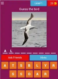 Birds Quiz - Learn All Birds! Screen Shot 8