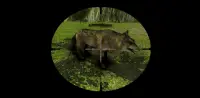 Wild Animal Hunter 3D : Animal Hunting Game 2021 Screen Shot 3