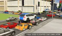 Elevated Car Driving Simulator Screen Shot 7