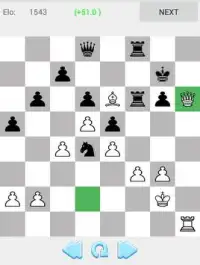 Checkmate Chess Tactics Screen Shot 0