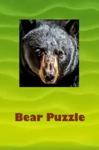 Bear Puzzle Screen Shot 0