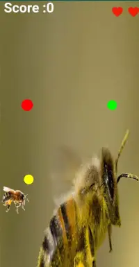 Bee Flying Screen Shot 2