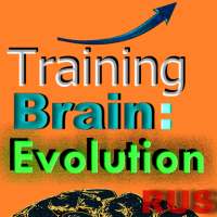 Brain Training: Evolution