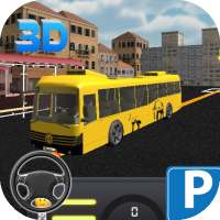 Public Coach Bus Transport Parking
