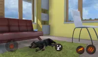 Simulador de perro rottweiler Screen Shot 14