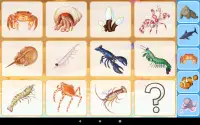 Звуки морских животных (развивающая детская игра) Screen Shot 18