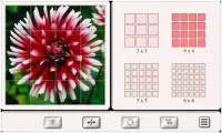Erraten Sie den Blume: Fliesen Puzzle Screen Shot 2