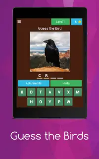 Birds guess Screen Shot 12
