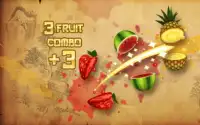 Fruit Slicing Pro Screen Shot 1