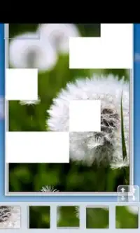 Animated Puzzles Screen Shot 0