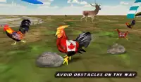 Farm Rooster Run- Angry Chicken Race Hero Screen Shot 13