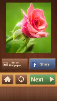 Flower Puzzles Games Screen Shot 6