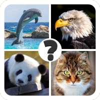 Dieren quiz