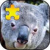 Koala Teka-teki Beruang Jigsaw