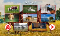 Farm Puzzles Screen Shot 3