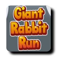 Rabbit run: street run