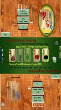 Heads Up Poker Screen Shot 4